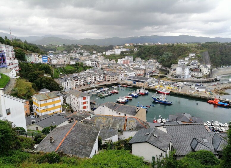 Picture 2 for Activity From Oviedo: Luarca, Cudillero and Avilés Day Trip