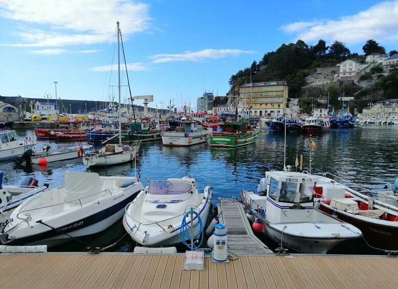 Picture 3 for Activity From Oviedo: Luarca, Cudillero and Avilés Day Trip