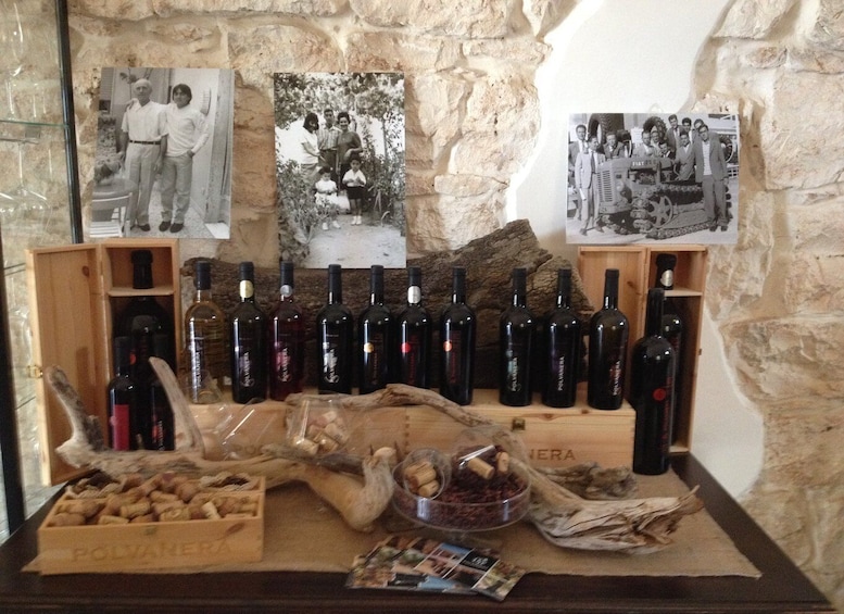 Picture 1 for Activity Wine tasting experience in the Apulian countryside!