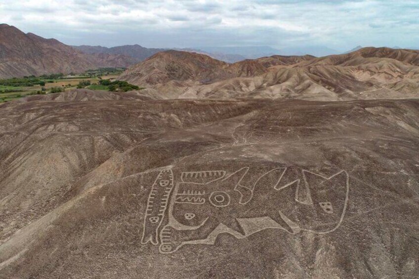 The Orca Geoglyph