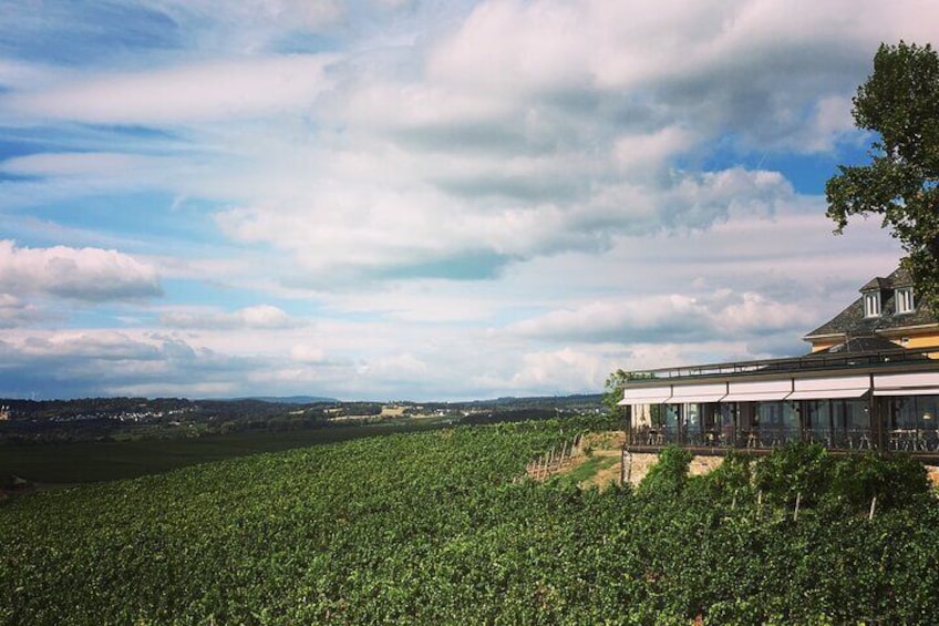 Small Group Rheingau Vineyards Tour with Castles and Abbeys