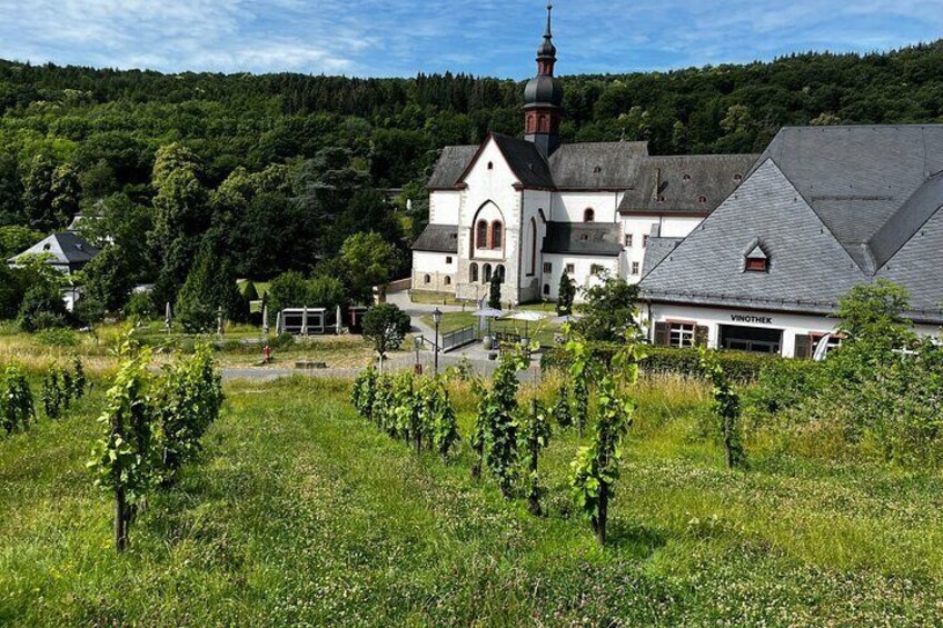 Small Group Rheingau Vineyards Tour with Castles and Abbeys