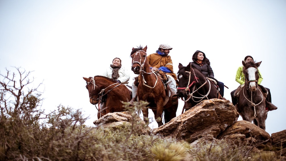 Full Day Horseback Riding in the Andes Mountains from Mendoza