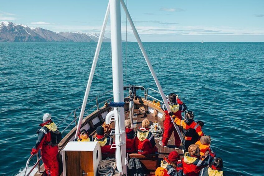 Husavik family-owned and operated Whale watching 