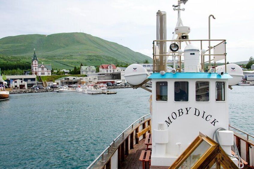 Whale Watching in Husavik with Friends of Moby Dick