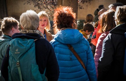 Toledo: visite guidate private in inglese, tedesco o spagnolo