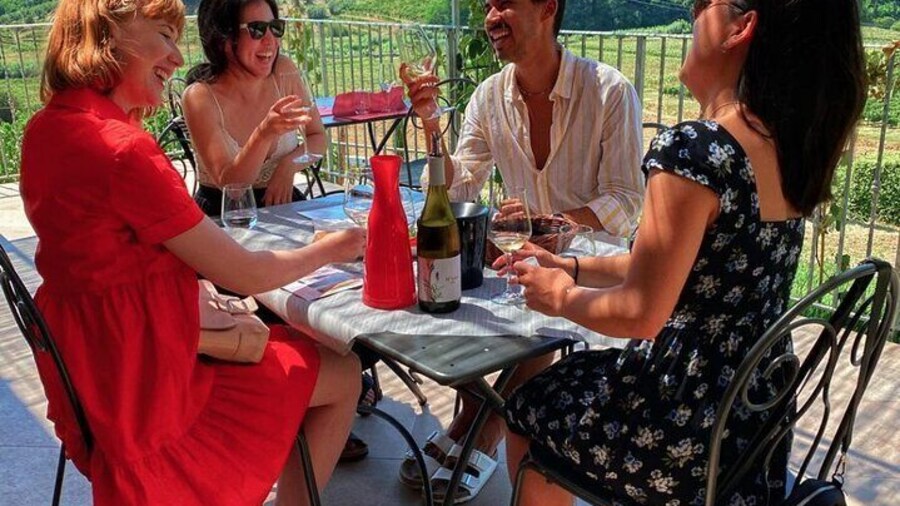 Private Tasting of 3 wines and Lucca Extra Virgin Olive Oil