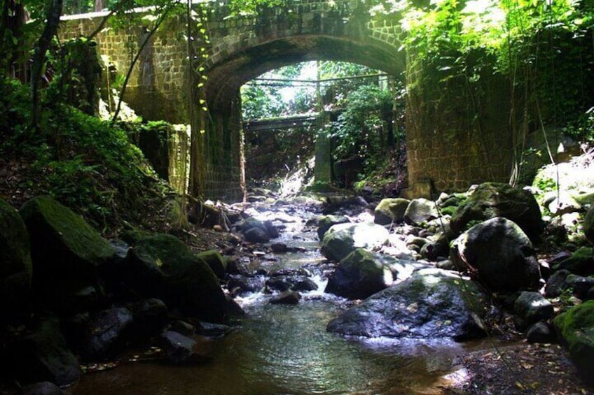 Basseterre Rainforest Hike