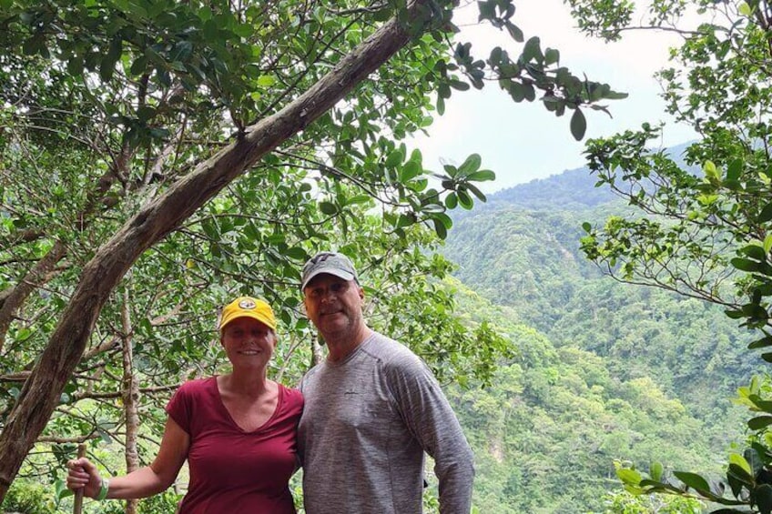 Basseterre Rainforest Hike