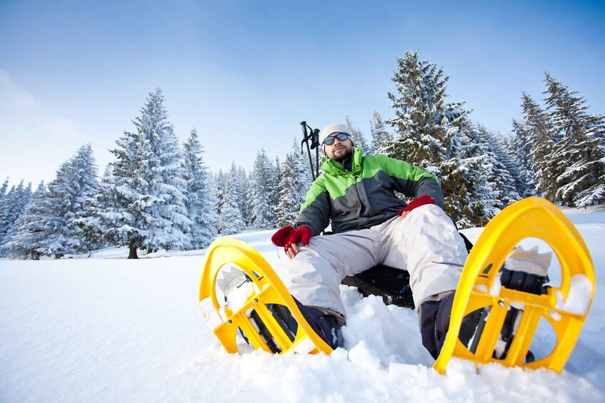 Picture 3 for Activity From Sirkka: Levi Summit Guided Nature Snowshoeing Tour