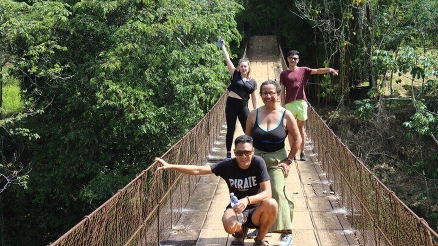 Hanging rope bridge!