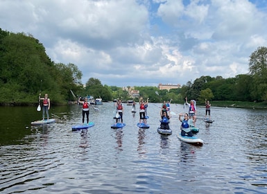 Paddleboard Experience on the beautiful Thames at Richmond