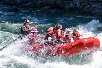 Upper Skagit Introductory Whitewater Rafting Trip