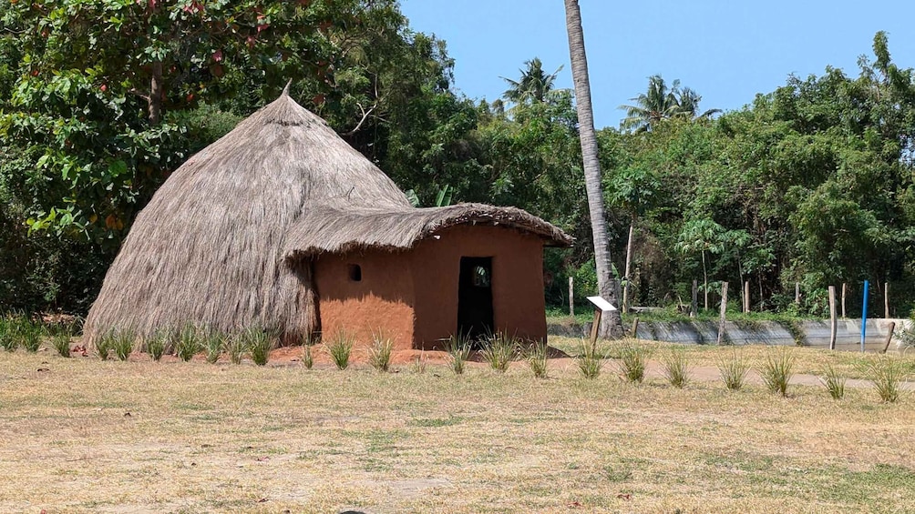 Picture 6 for Activity Dar es Salaam City Experience (Full-day private guided)