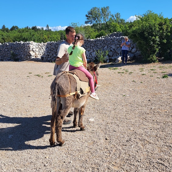 Picture 6 for Activity Šmrika (near Rijeka/Krk/Crikvenica) Donkey Farm Entry Ticket