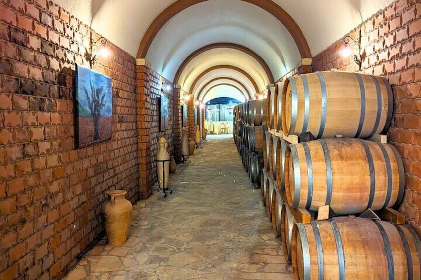 Wine Tasting Private Day Tour: From Dubrovnik to Peljesac 