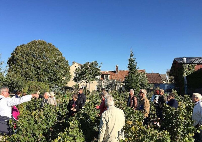 Picture 2 for Activity Visite et Dégustation Chablis Clotilde Davenne en français