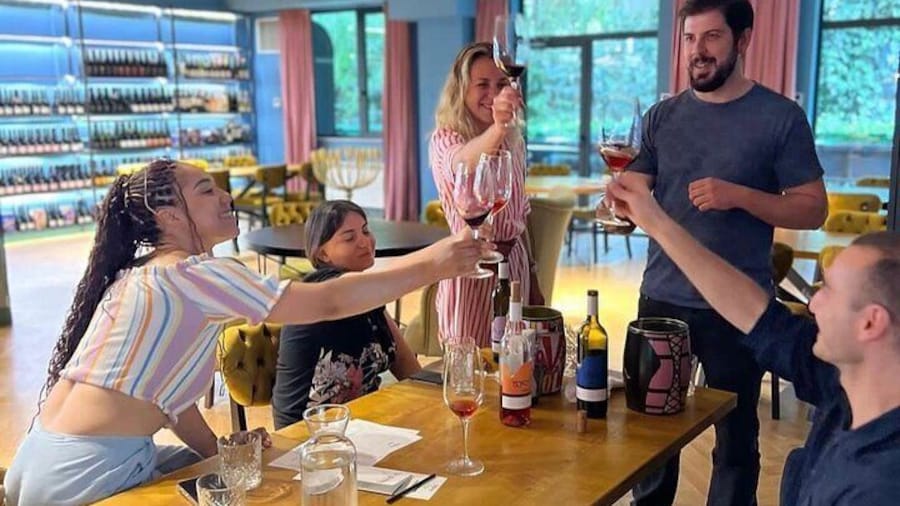 Wine Tasting Feel the Difference of Qvevri or Classical Wine