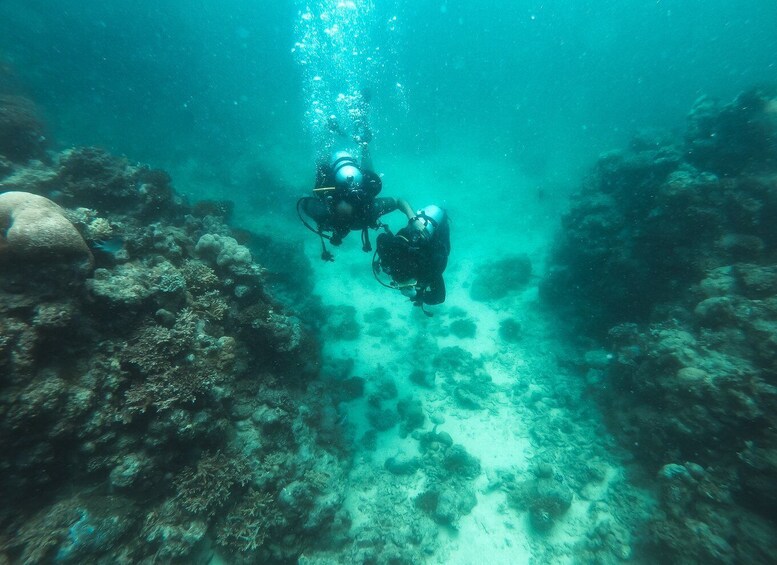 Picture 1 for Activity Jeddah: Red sea shore diving (Discovery)