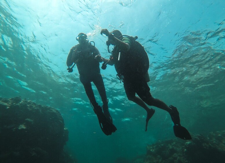 Picture 2 for Activity Jeddah: Red sea shore diving (Discovery)