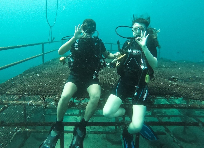 Picture 3 for Activity Jeddah: Red sea shore diving