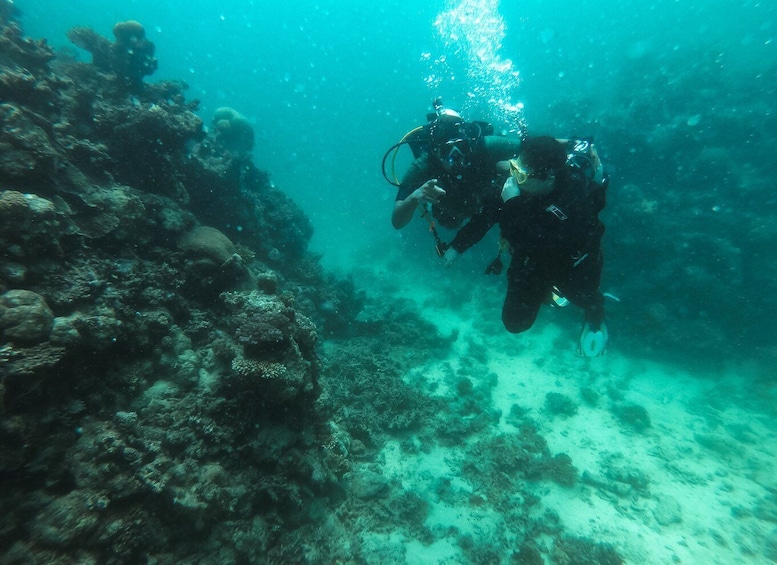 Jeddah: Red sea shore diving