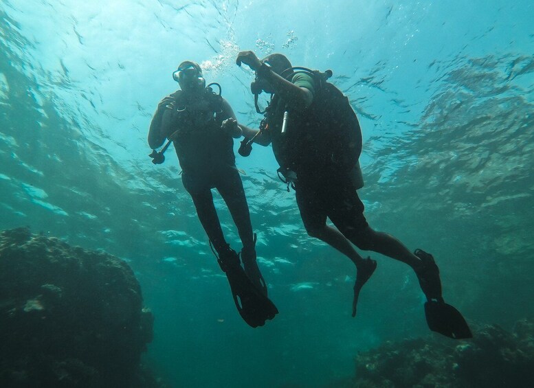 Picture 2 for Activity Jeddah: Red sea shore diving