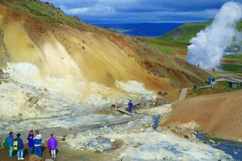 Reykjanes Peninsula Private Day Tour with Pick-Up