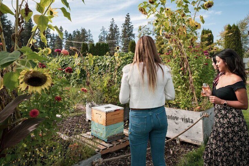 Okanagan Bee Tour and Lunch at Winery in Kelowna
