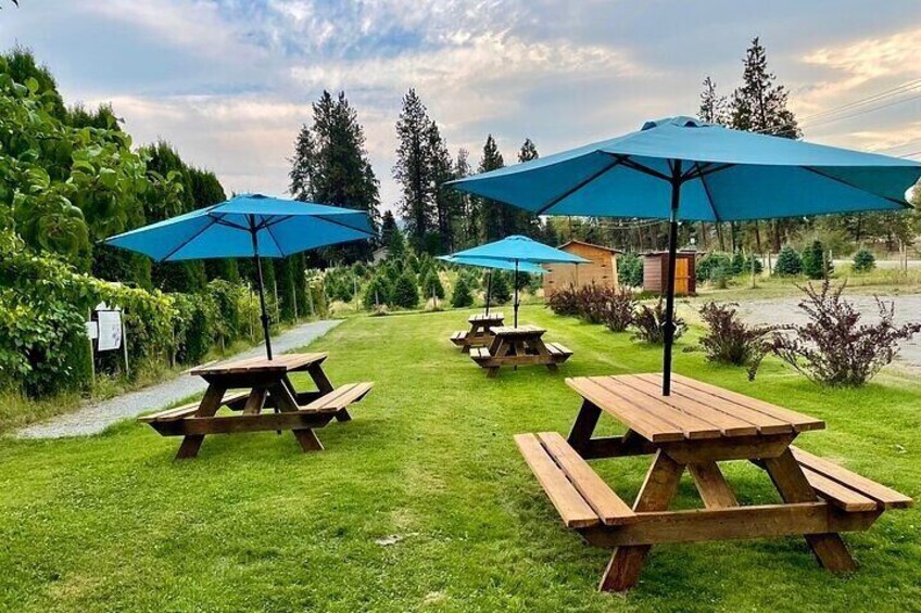 Okanagan Bee Tour and Lunch at Winery in Kelowna