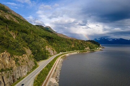 Seward à Anchorage - Visite organisée de la faune après la croisière + tran...