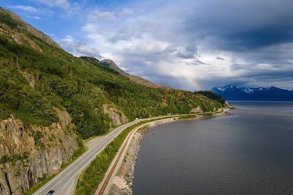 Seward to Anchorage- Post Cruise Curated Wildlife Tour +Transfer