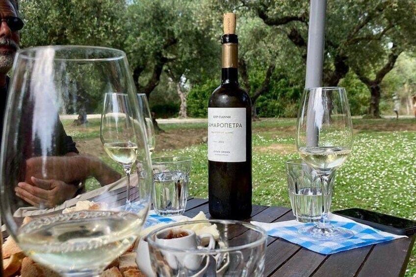The olive grove and the tasting 