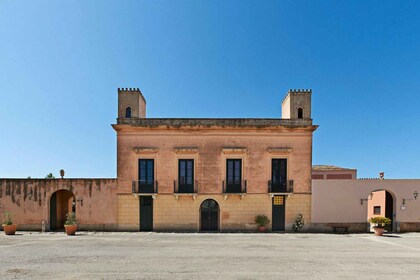 Degustación de aceite y vino