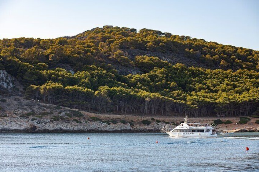 Full Day Boat Tour to the Egadi Islands