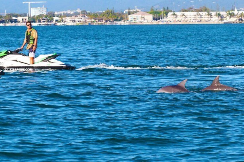 1hr Jet Ski Safari