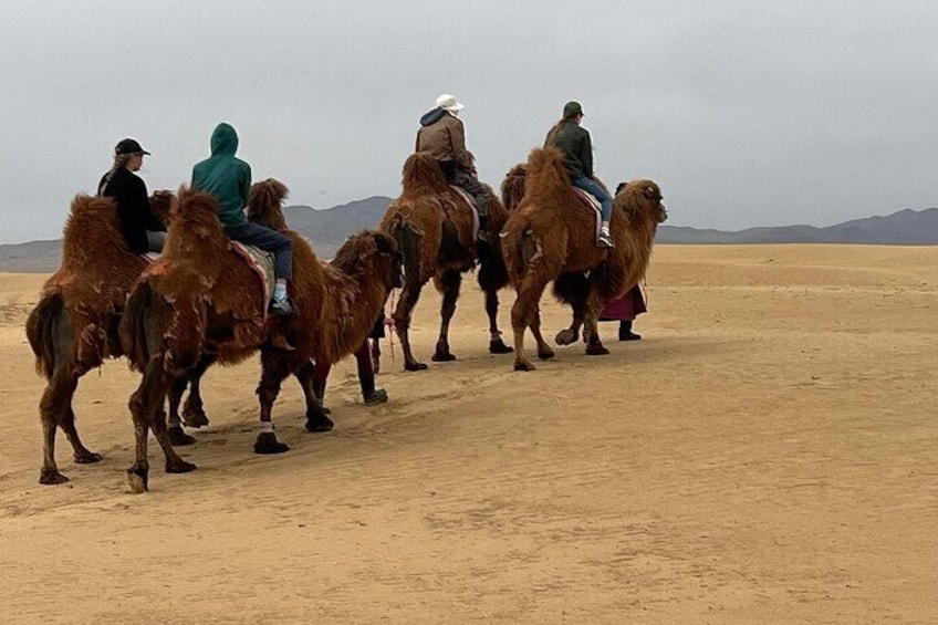 Full Day Private Jeep Tour to Elsen Tasarkhai, Semi-Gobi