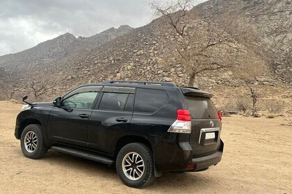 Heldags privat jeeptur till Elsen Tasarkhai, Semi-Gobi