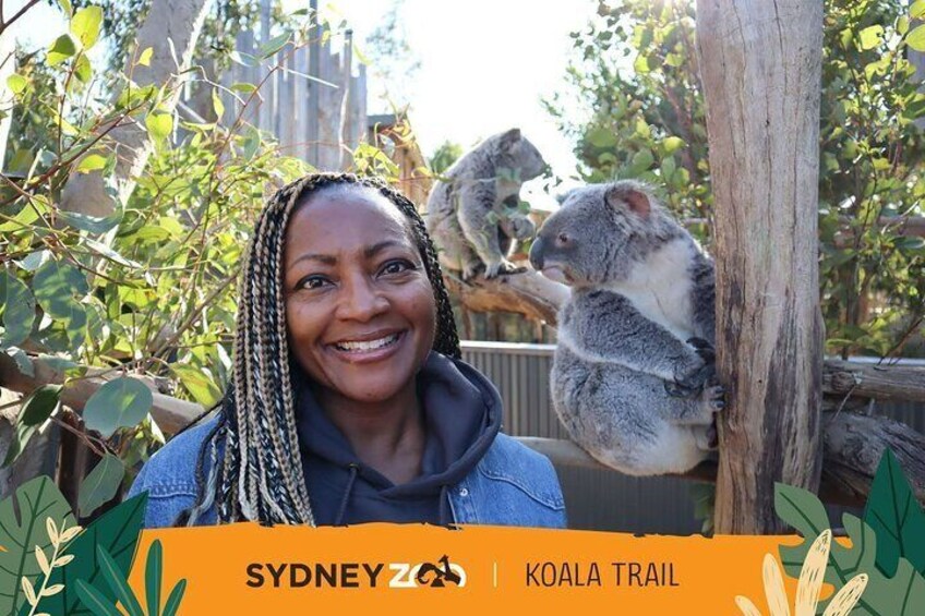 Free Koala Photo with all bookings