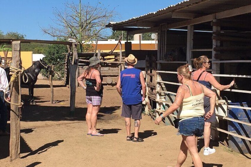 Private Colonial Tour Tequila and La Noria