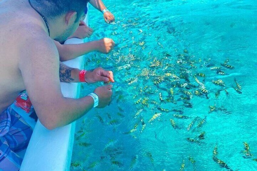 Snorkeling in Isla Mujeres and Underwater Museum