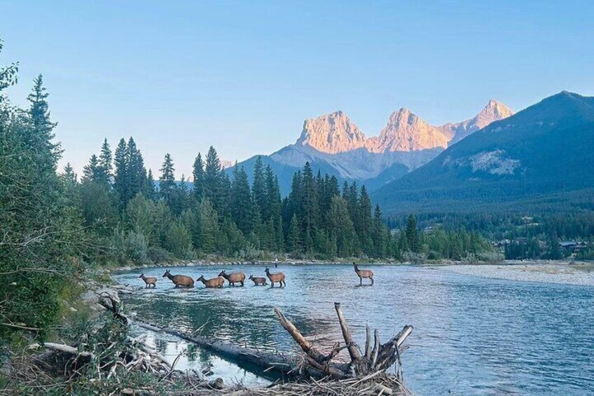 Canyons, Waterfalls & Campfires; Hikes in Calgary, Banff & More