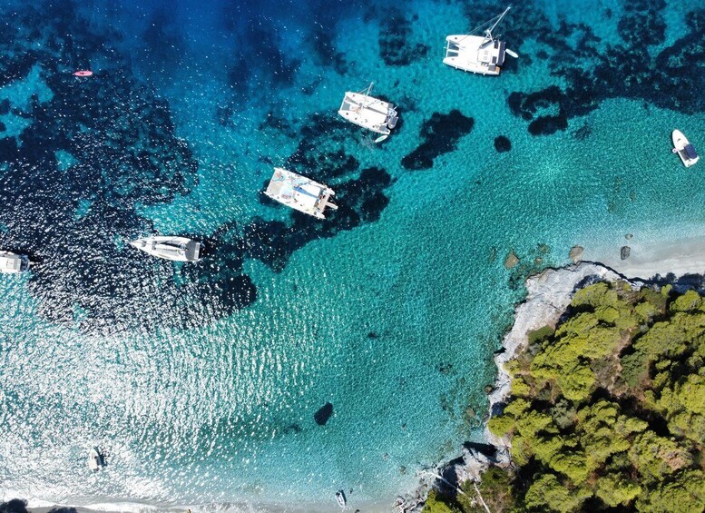 Picture 9 for Activity From Skiathos Port: Day Sailing Boat Trip with Lunch