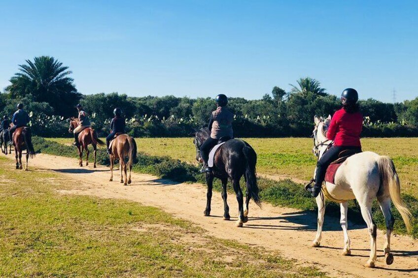 Horse ride