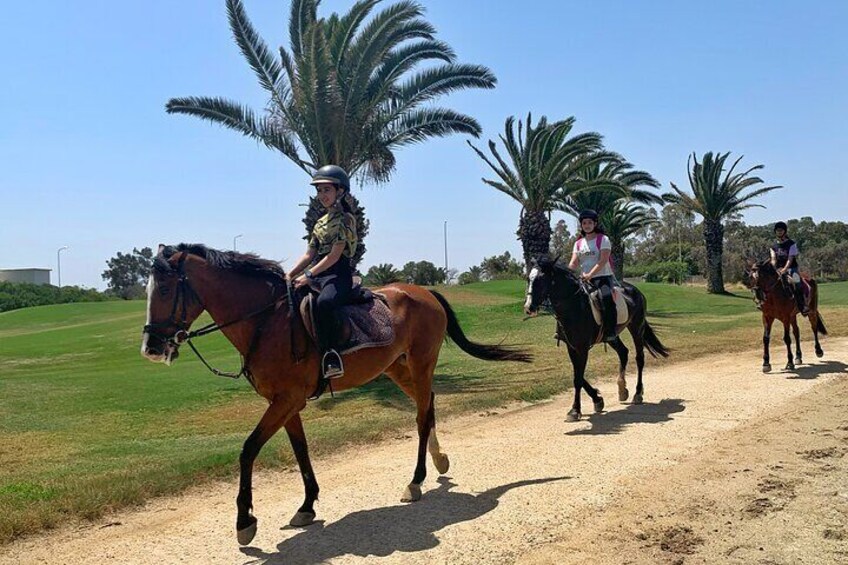 country horse ride