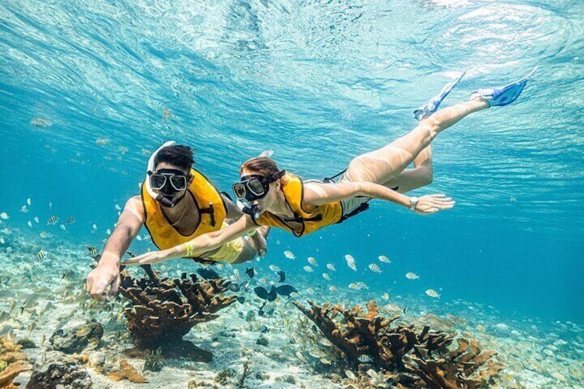 5 in 1 Snorkeling Boat Experience in Cancun