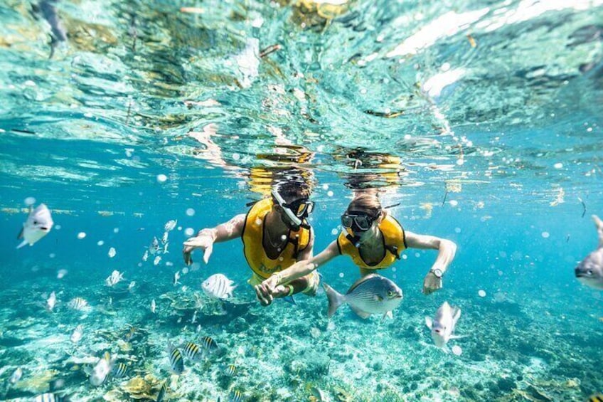 5 in 1 Snorkeling Boat Experience in Cancun