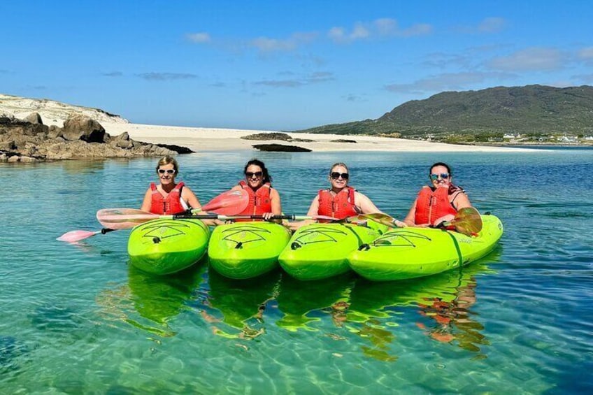  Sea Kayaking Coastal & Island Tour in Roundstone Bay