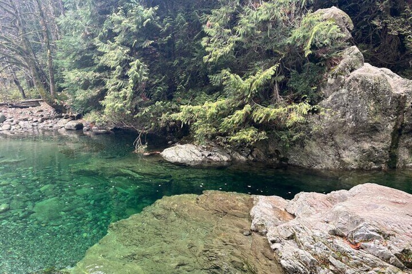 Hike Lynn Canyon and Bike Seymour Demonstration Forest