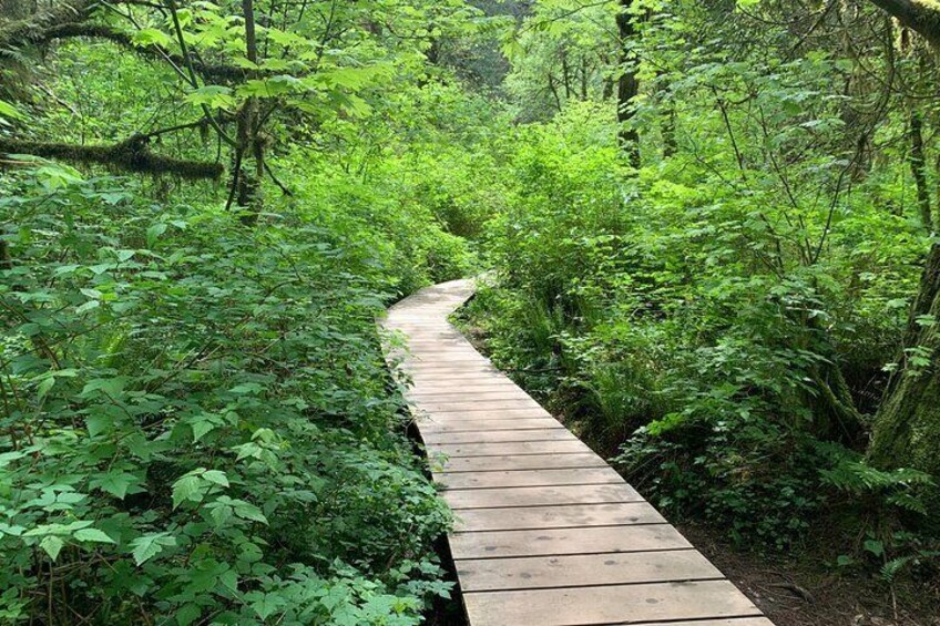 Hike Lynn Canyon and Bike Seymour Demonstration Forest